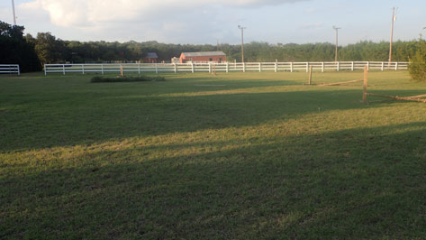 photo of the arena/pasture