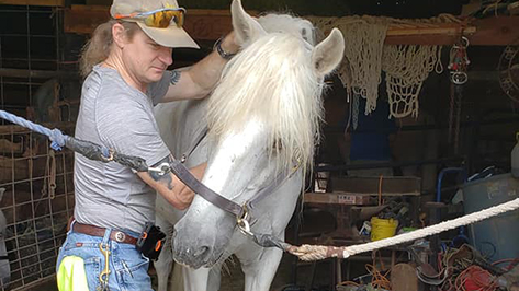 Todd Hezeau performing equine massage
