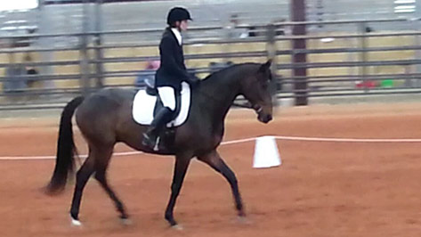 Dripping Springs Ranch Park, rider at dressage show
